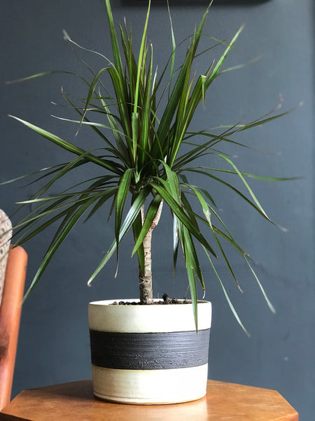 Unique handmade pots