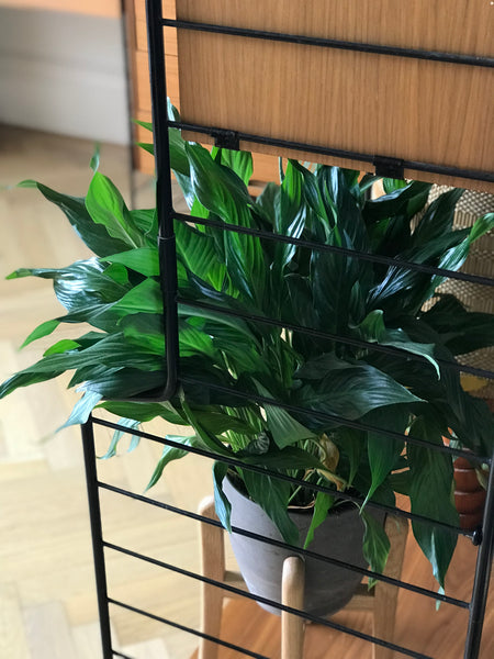 WHB German modular free standing system