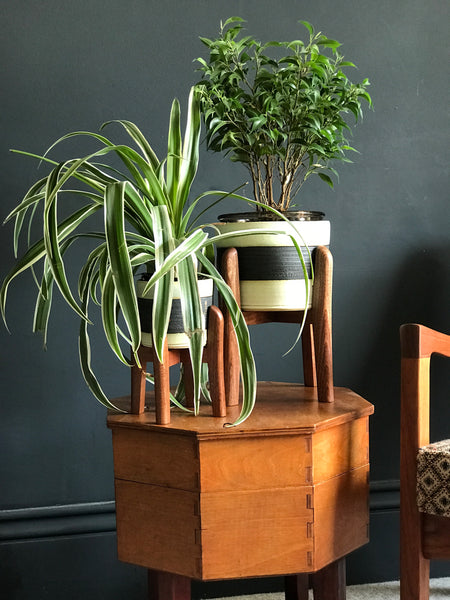 Curved mid-century plant pot stands