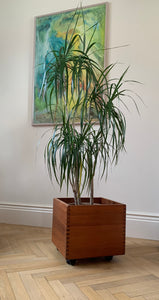 Indoor teak planter
