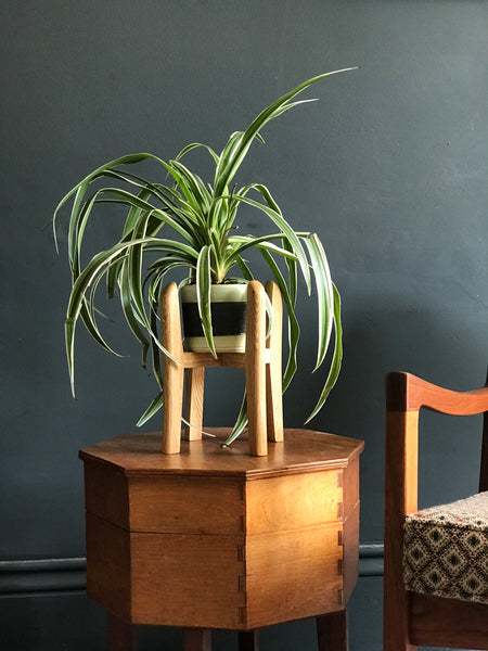 Curved mid-century plant pot stands